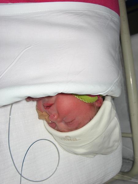 alle foto's januari2008 344.jpg